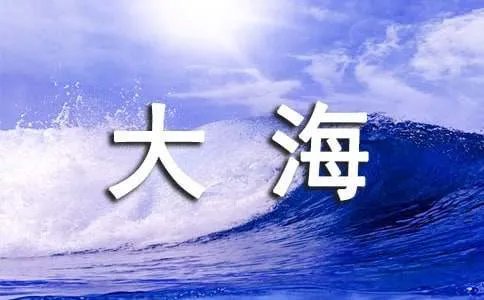 我爱大海的作文