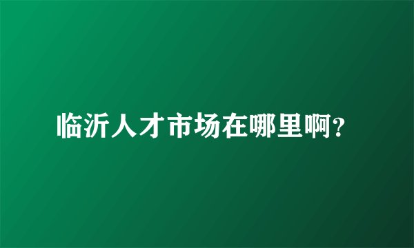 临沂人才市场在哪里啊？