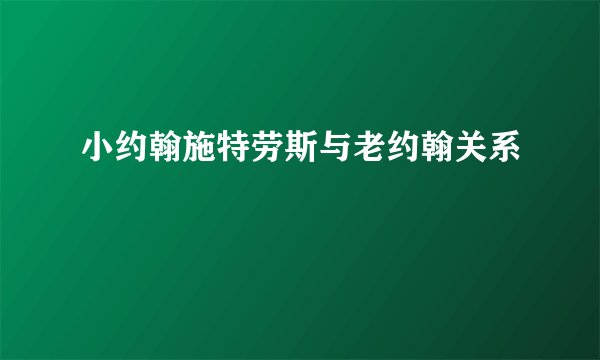 小约翰施特劳斯与老约翰关系