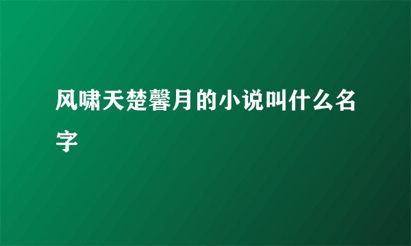 风啸天楚馨月的小说叫什么名字