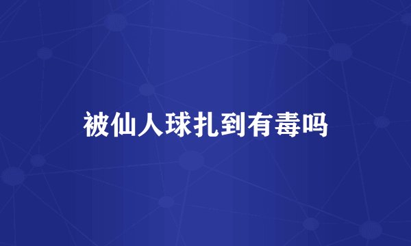 被仙人球扎到有毒吗