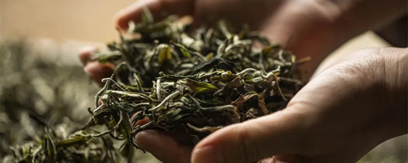 毛峰是什么茶 毛峰是什么茶系
