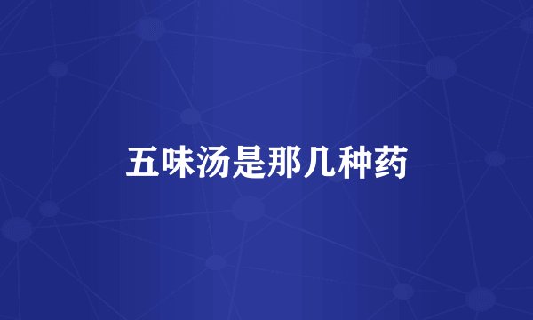 五味汤是那几种药