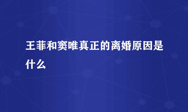 王菲和窦唯真正的离婚原因是什么