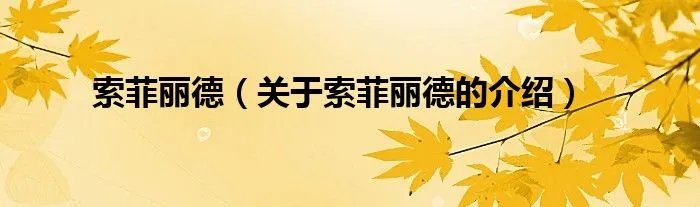 索菲丽德（关于索菲丽德的介绍）
