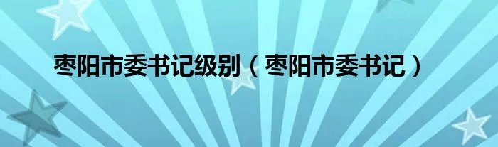 枣阳市委书记级别（枣阳市委书记）