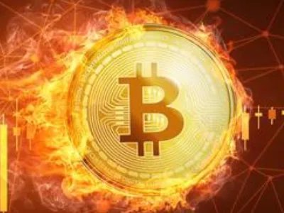 比特币跌破8000美元,当初的比特币有多疯狂?