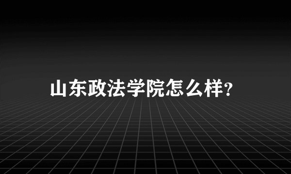 山东政法学院怎么样？
