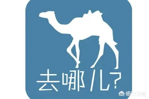 哪个旅行网站比较好?