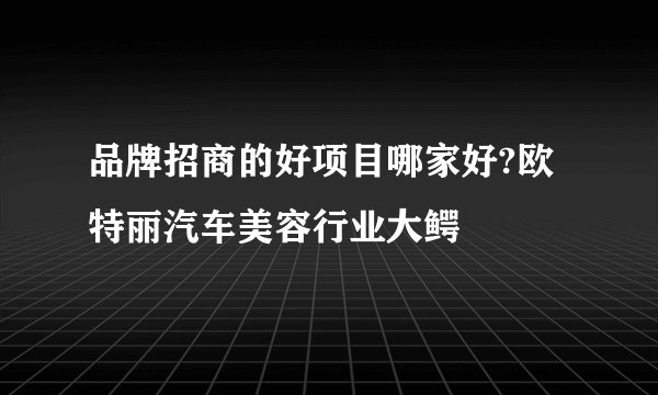 品牌招商的好项目哪家好?欧特丽汽车美容行业大鳄