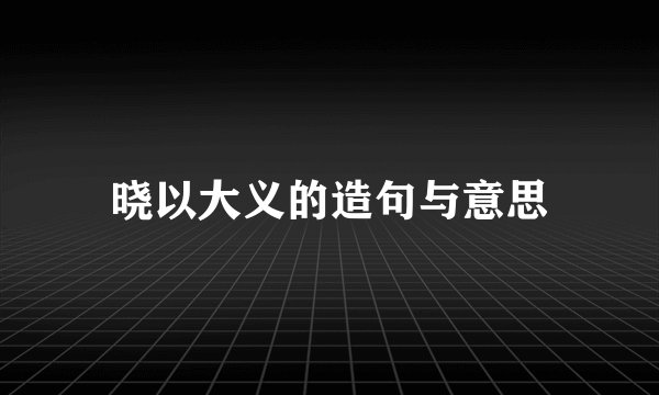 晓以大义的造句与意思