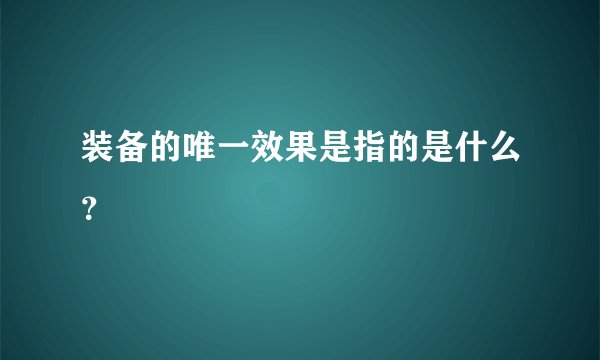 装备的唯一效果是指的是什么？