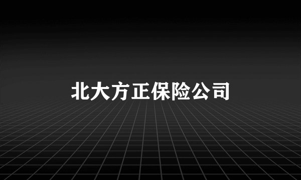 北大方正保险公司