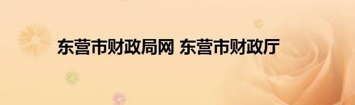 东营市财政局网 东营市财政厅
