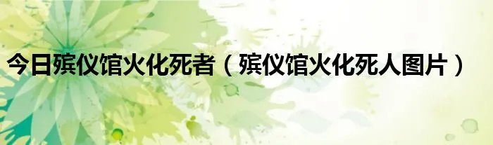 今日殡仪馆火化死者（殡仪馆火化死人图片）