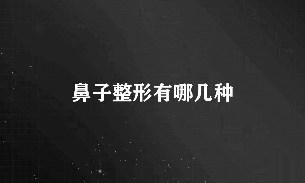 鼻子整形有哪几种
