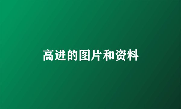 高进的图片和资料
