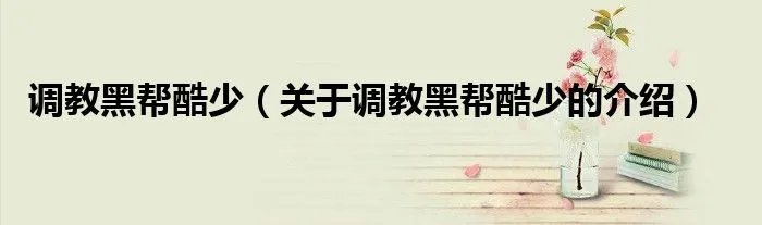 调教黑帮酷少（关于调教黑帮酷少的介绍）