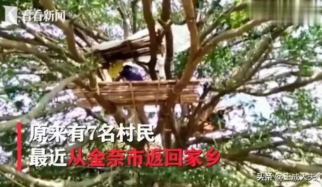 如何看待印度村民因没有自己单独房间住树上隔离?