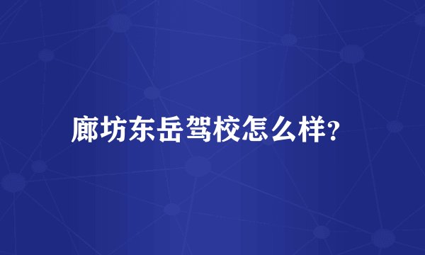 廊坊东岳驾校怎么样？