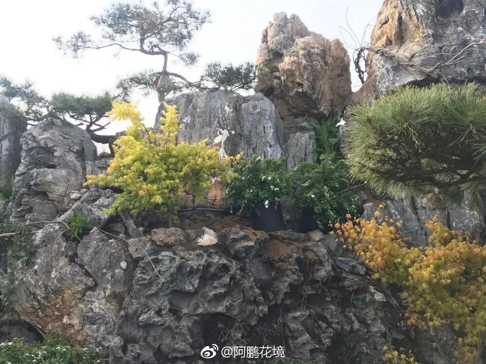 张家界style
