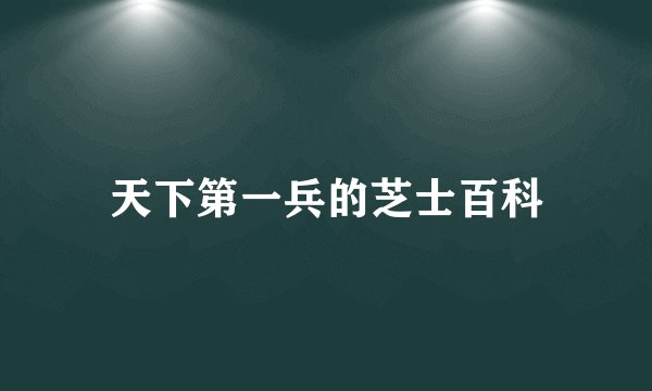 天下第一兵的芝士百科