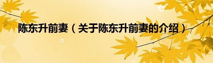 陈东升前妻（关于陈东升前妻的介绍）