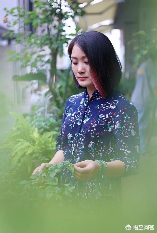 为什么糖水片往往在朋友圈有很高的点赞率,但却得不到摄影大咖们的认可?