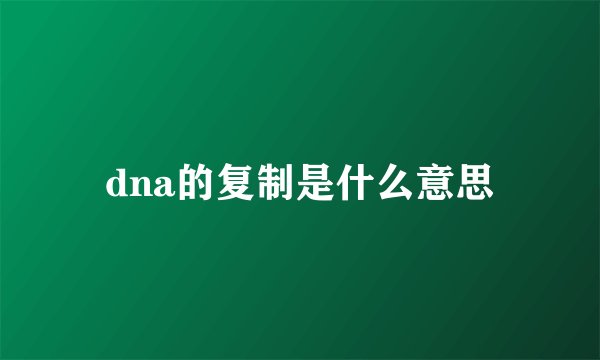 dna的复制是什么意思