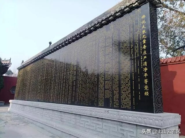 舒红兵四段婚姻