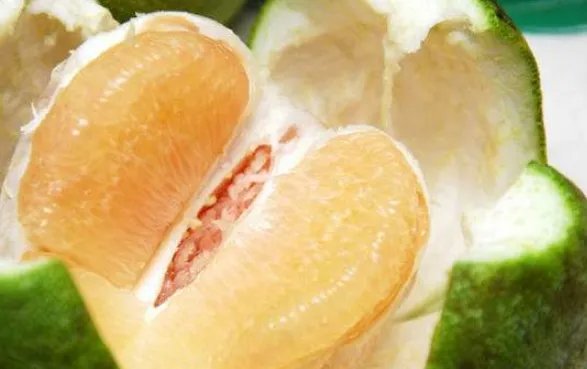 青树结青瓜 青瓜包棉花 棉花包梳子 梳子包豆芽 打一谜语