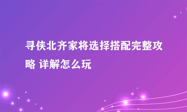 寻侠北齐家将选择搭配完整攻略 详解怎么玩