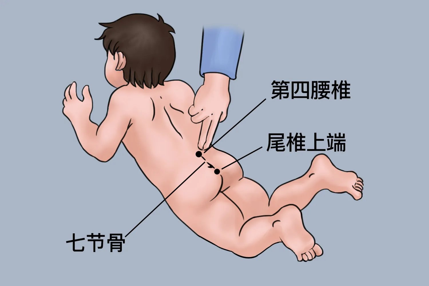 下推七节骨推拿示意图