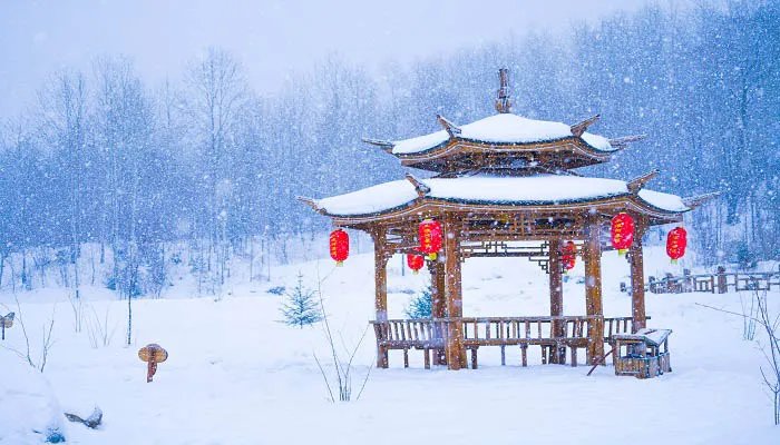 描写雪的诗句 描写雪的诗句有哪些