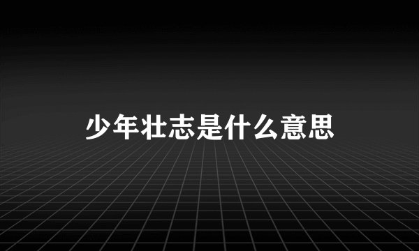 少年壮志是什么意思