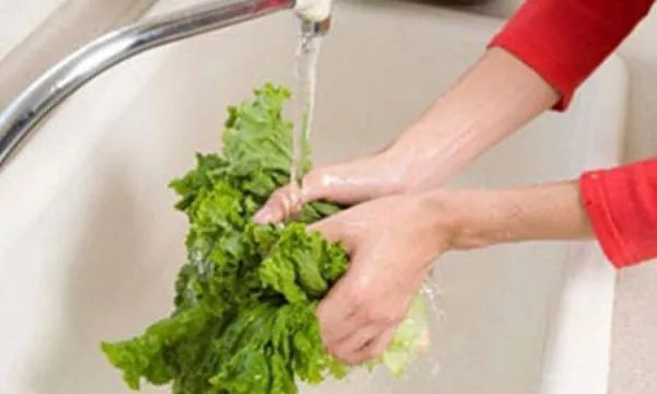 哈尔滨16名学生感染诺如病毒,传染源是否已经查实?