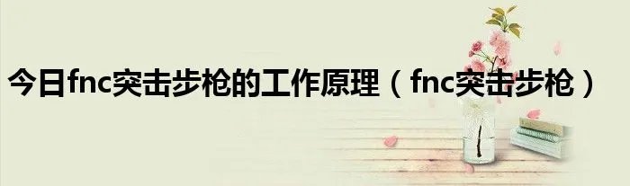 今日fnc突击步枪的工作原理(fnc突击步枪)