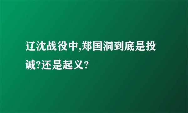 辽沈战役中,郑国洞到底是投诚?还是起义?
