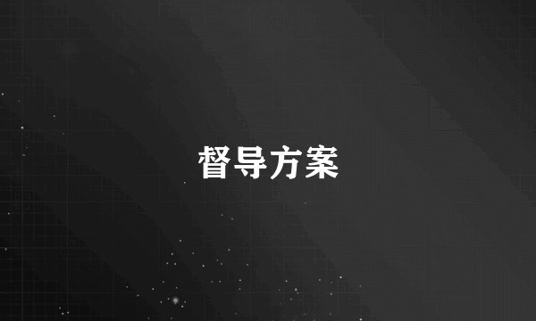 督导方案