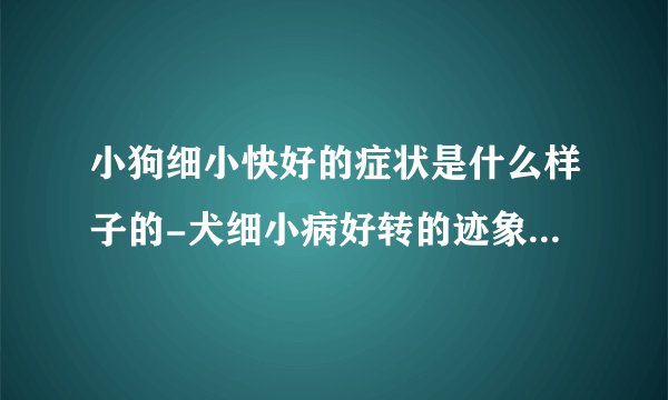 小狗细小快好的症状是什么样子的-犬细小病好转的迹象是什么？
