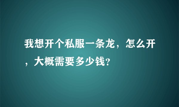 我想开个私服一条龙，怎么开，大概需要多少钱？