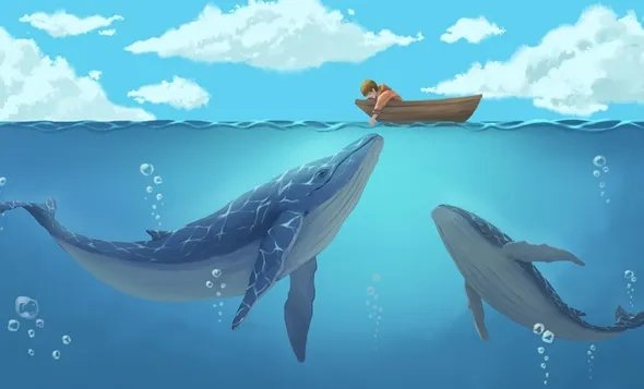 澳大利亚海滩数百头鲸鱼搁浅,当地是否展开援救了?
