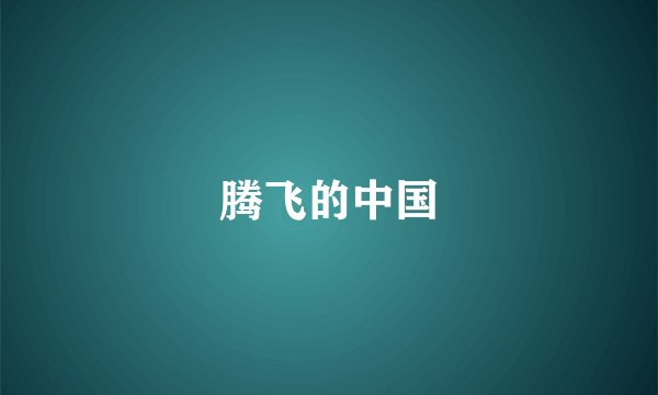 腾飞的中国