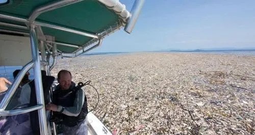 海洋中出现垃圾大陆,对我国海域会造成什么样的影响?