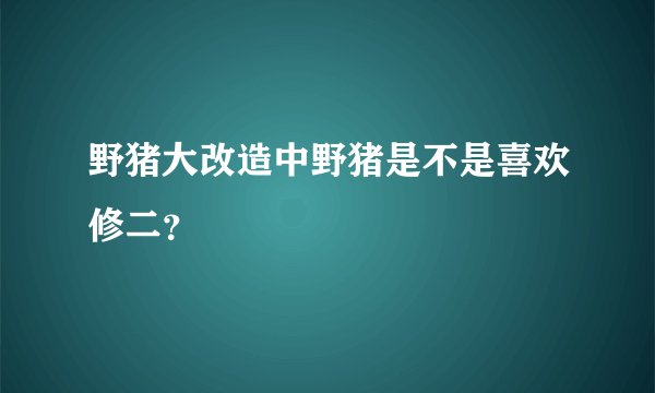 野猪大改造中野猪是不是喜欢修二？