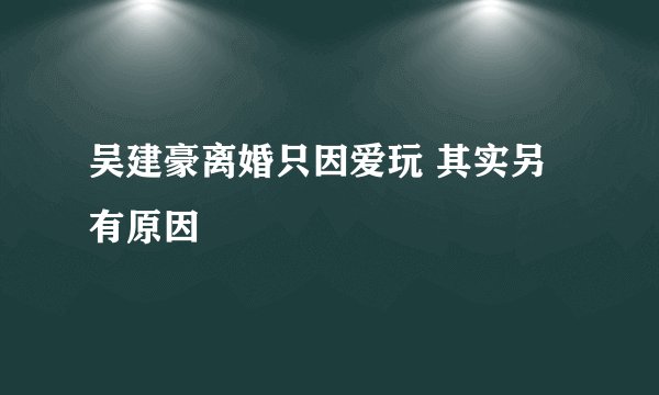 吴建豪离婚只因爱玩 其实另有原因