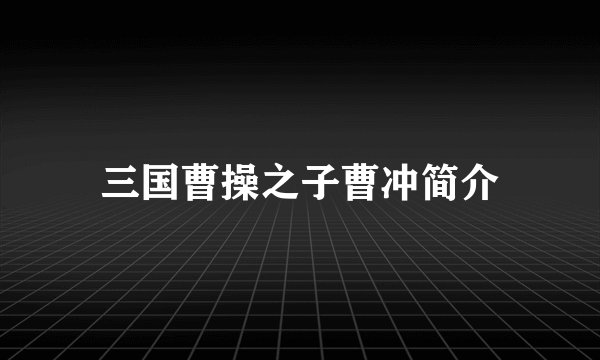 三国曹操之子曹冲简介