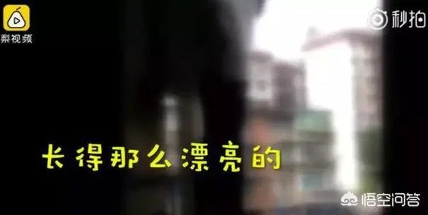 四川泸州一民警机智“撩妹”救下轻生女孩,你怎么看?