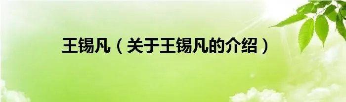 王锡凡（关于王锡凡的介绍）