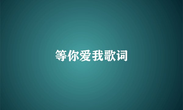 等你爱我歌词